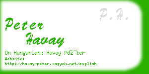 peter havay business card